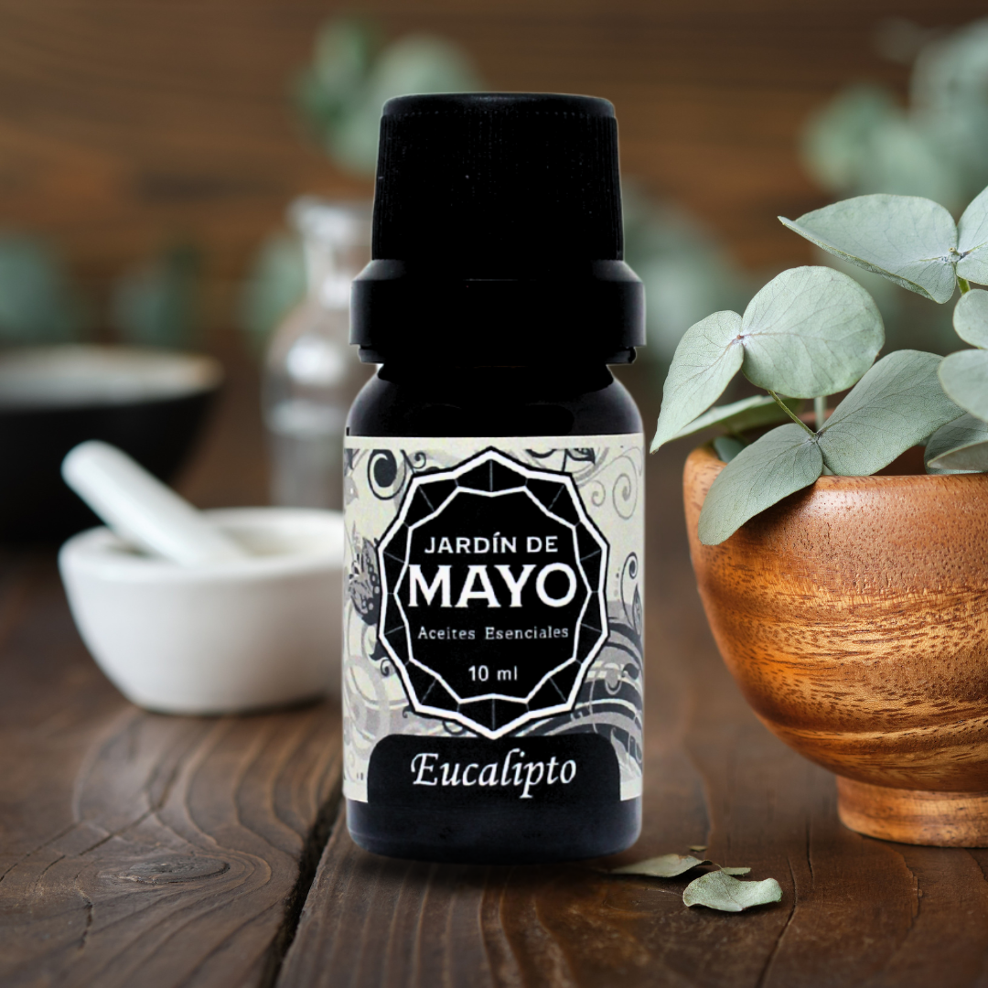 aceite esencial eucalipto