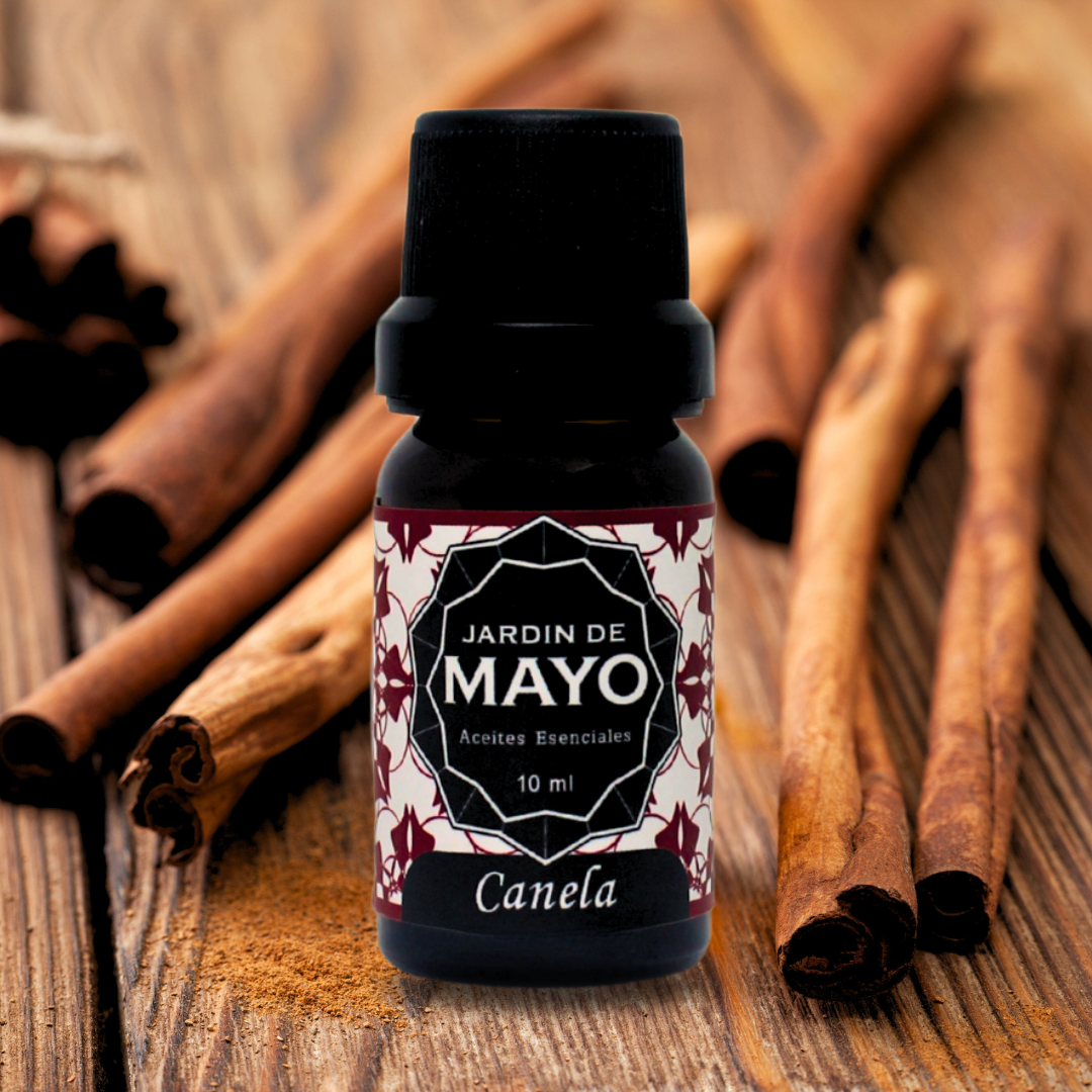 Canela aceite esencial