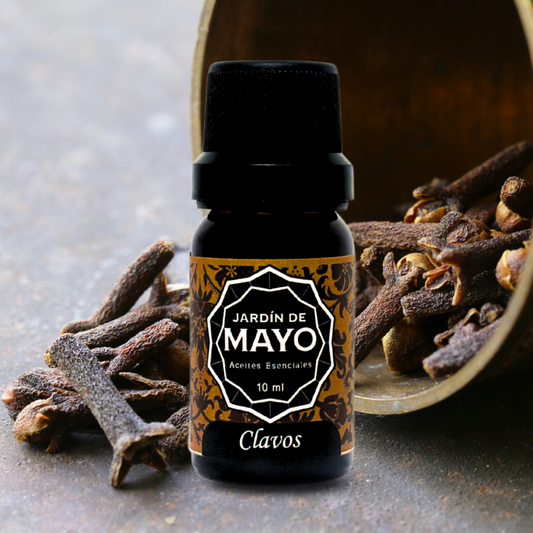 Clavos aceite esencial