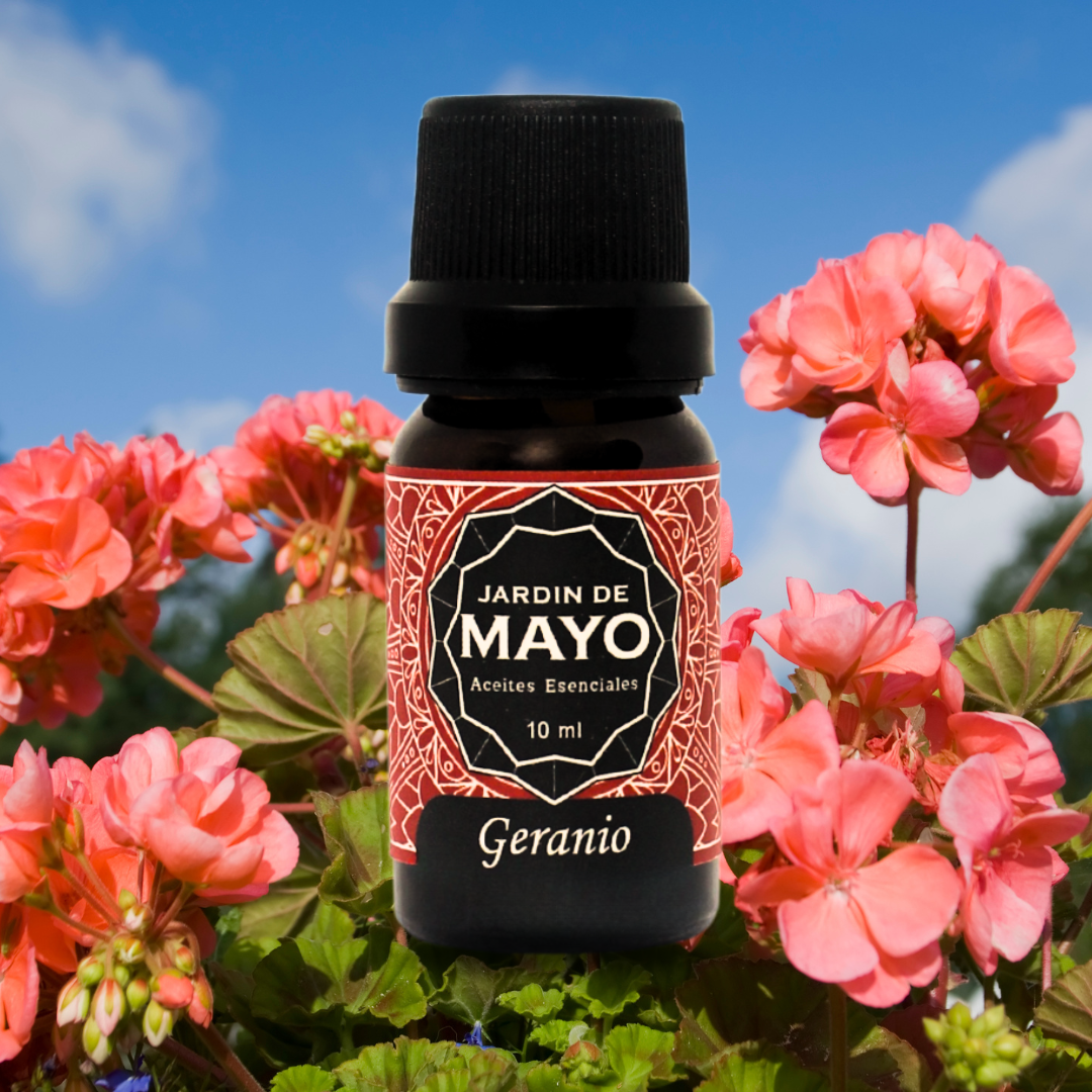 Geranio aceite esencial