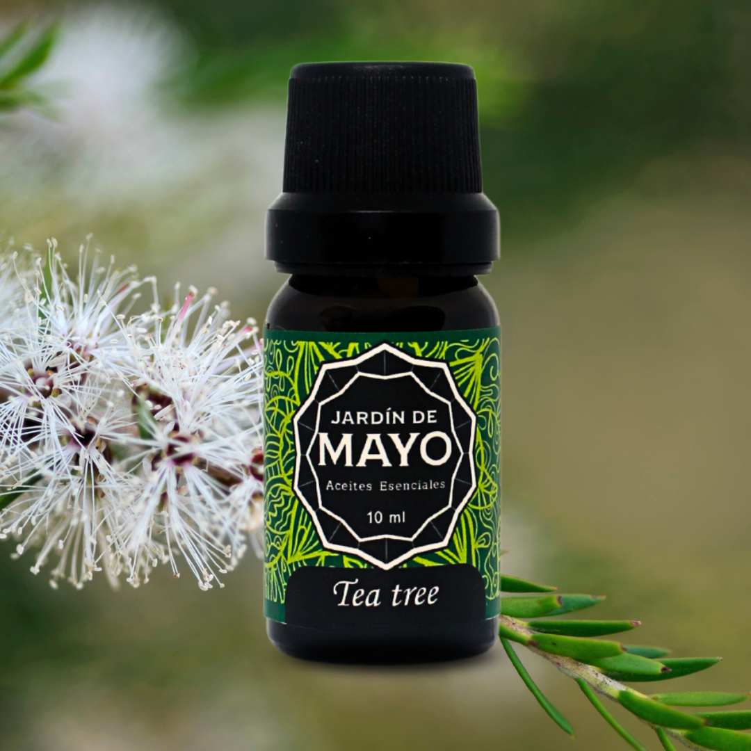 tea tree aceite esencial