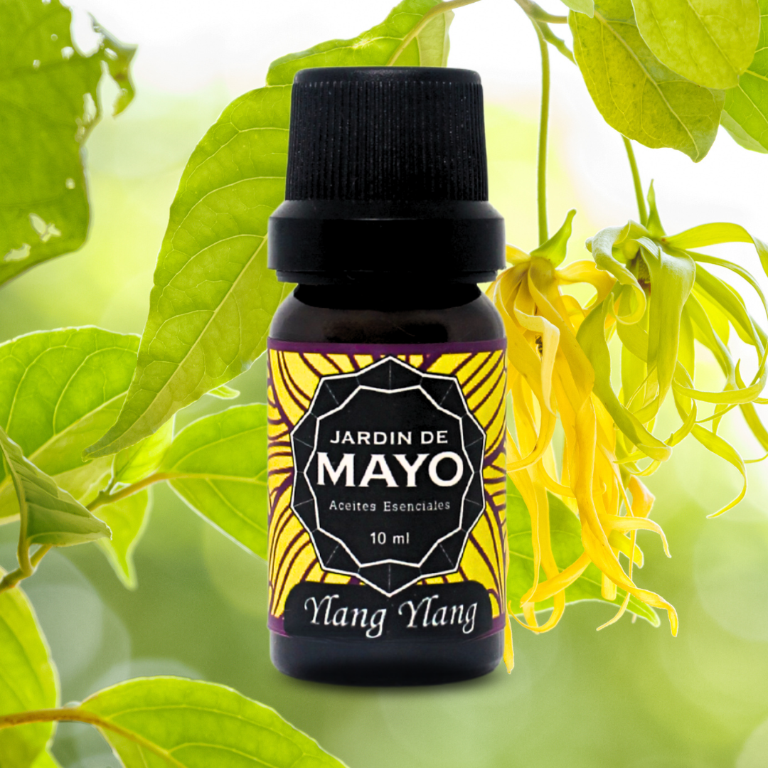 Ylang ylang aceite esencial
